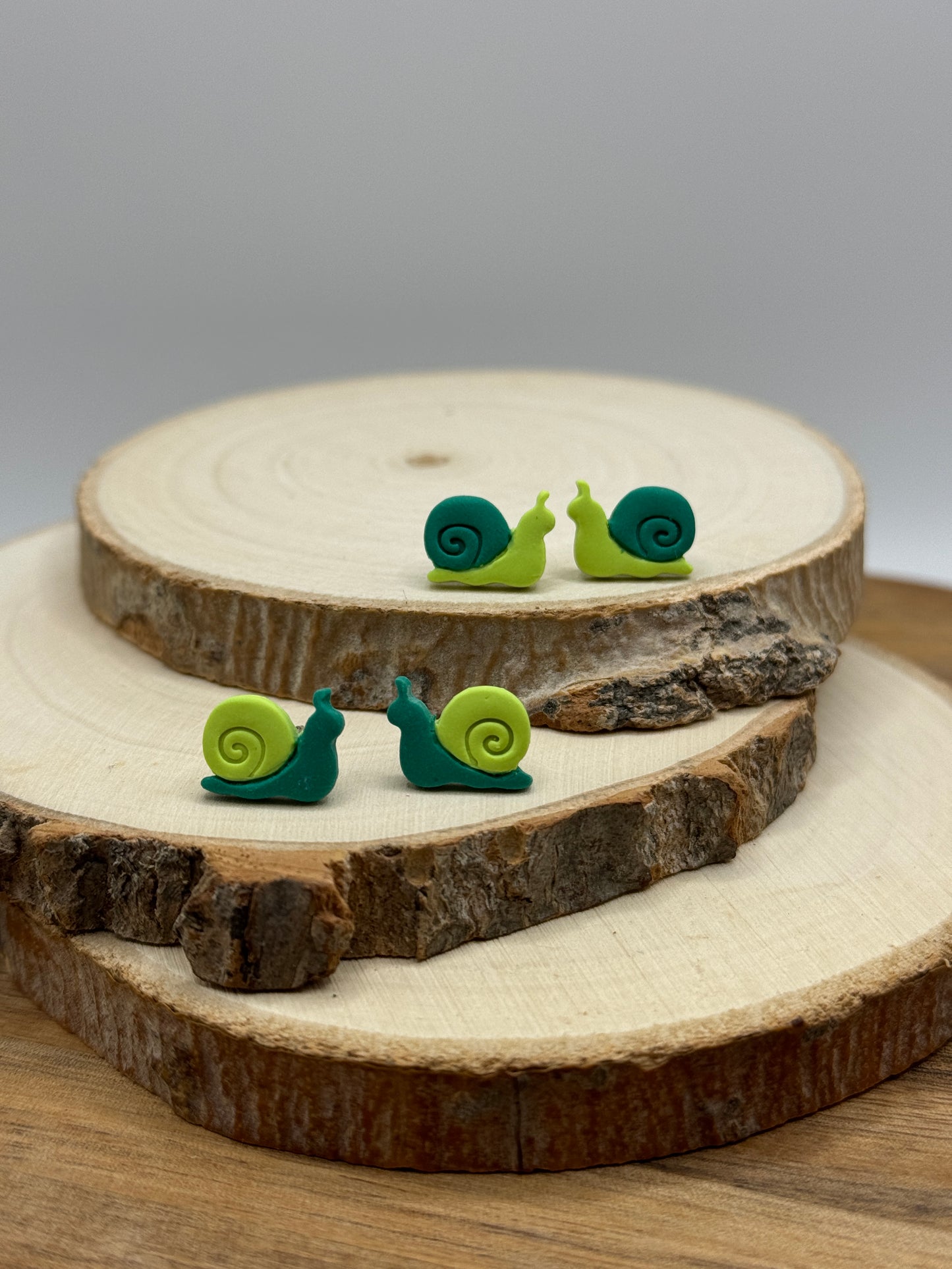 Snail Stud Earrings